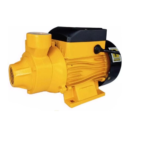 PH Booster Pump 0.5HP