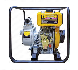 PH Eco Prof Gasoline Water Pump 2x2 5hp