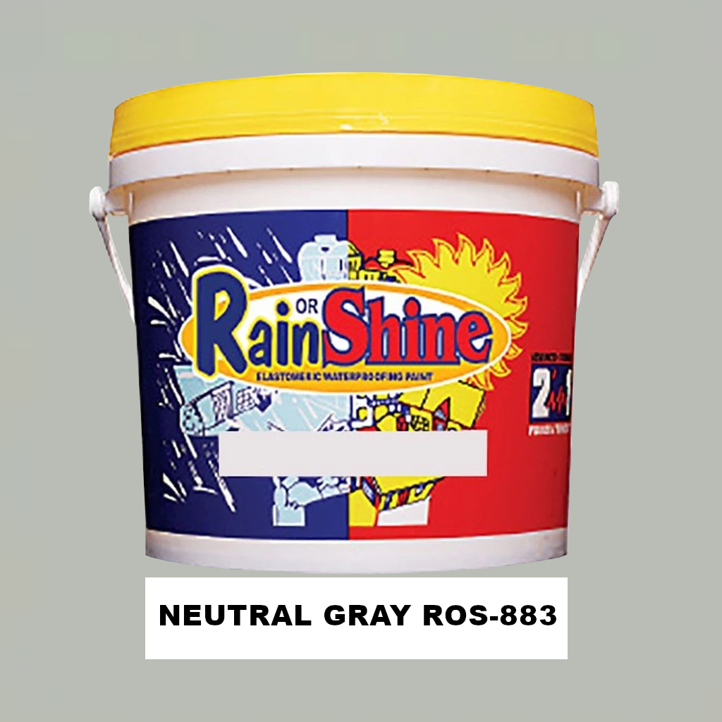 Rain Or Shine Neutral Gray