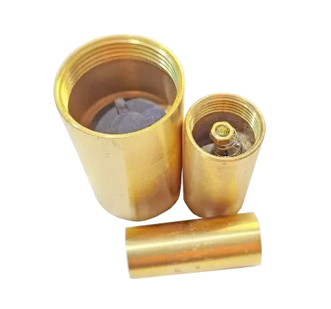 Clayton Check Valve 1/2