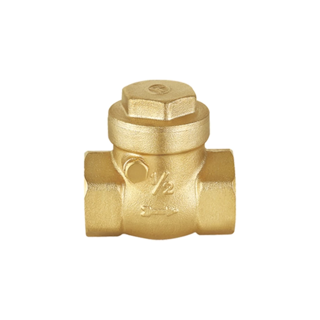 Creston CBS-002 Check Vlv Swng 2