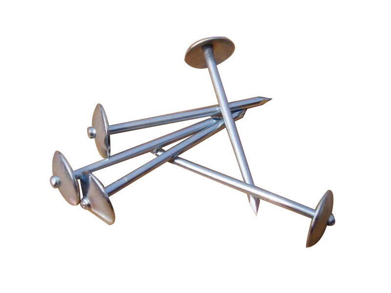 Umbrella nails 2 1/2