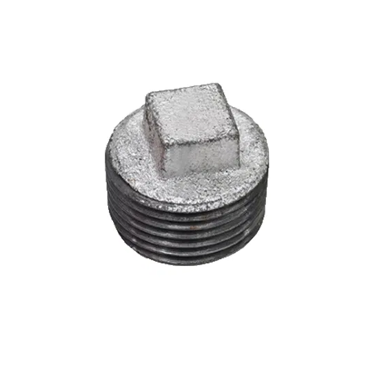 GI Cap 4