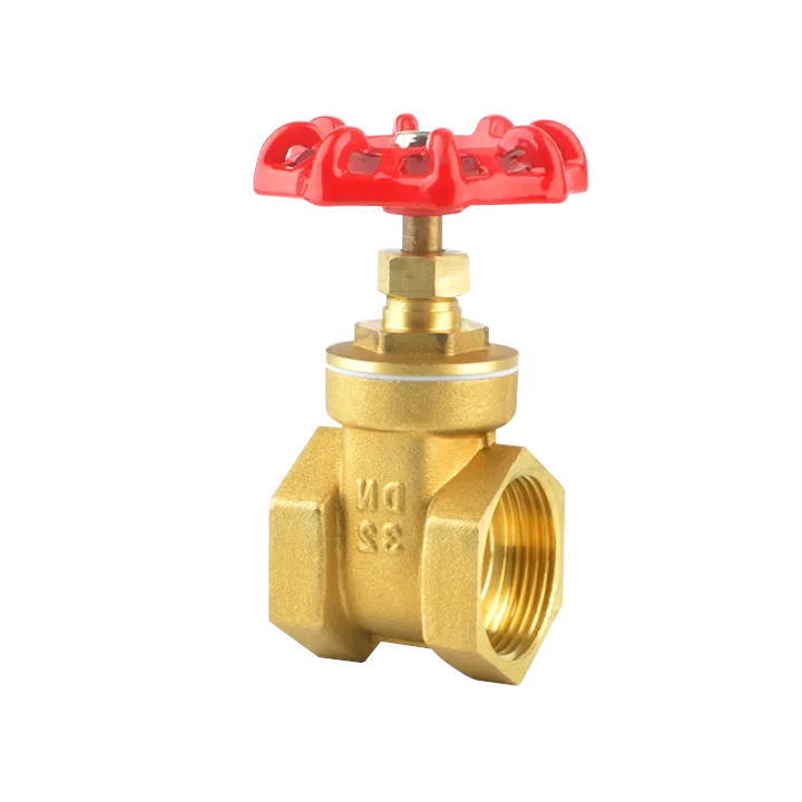 GV Brass Gate Valve #2