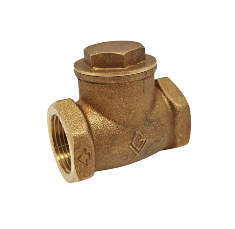 GV Check Valve Swing 2
