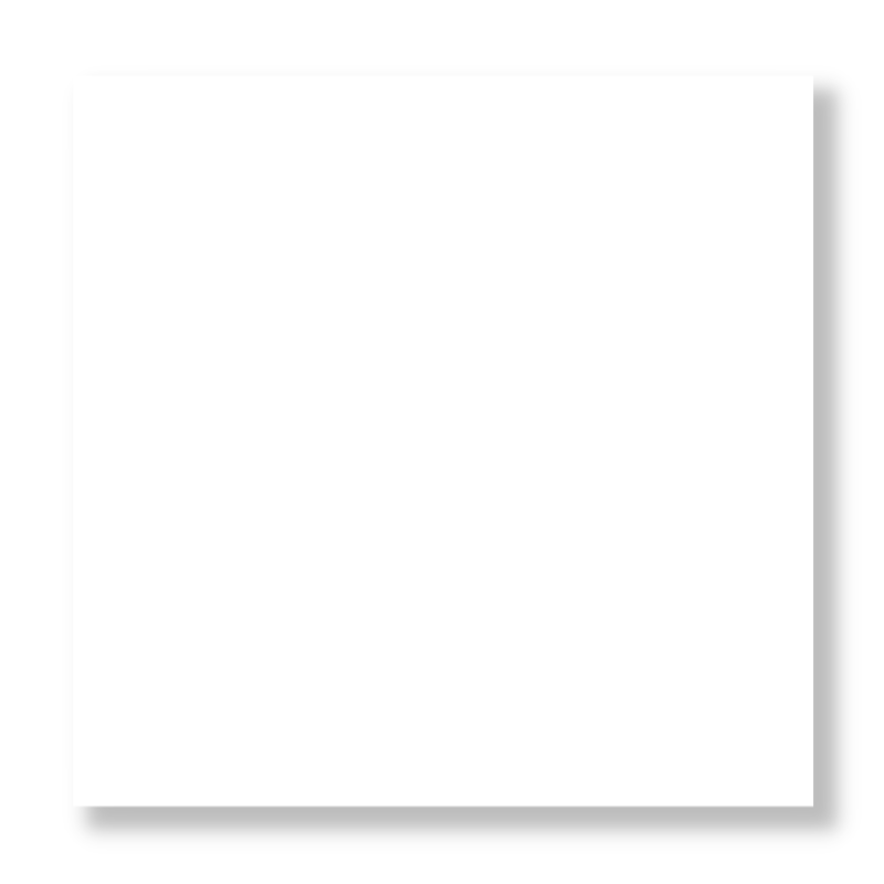 Mariwasa Tiles Snow White 40x40