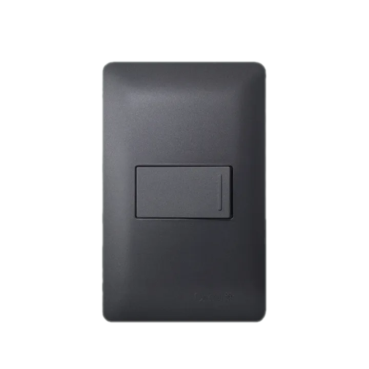 Omni DP0-S213G D-Series 1Way Switch 16A