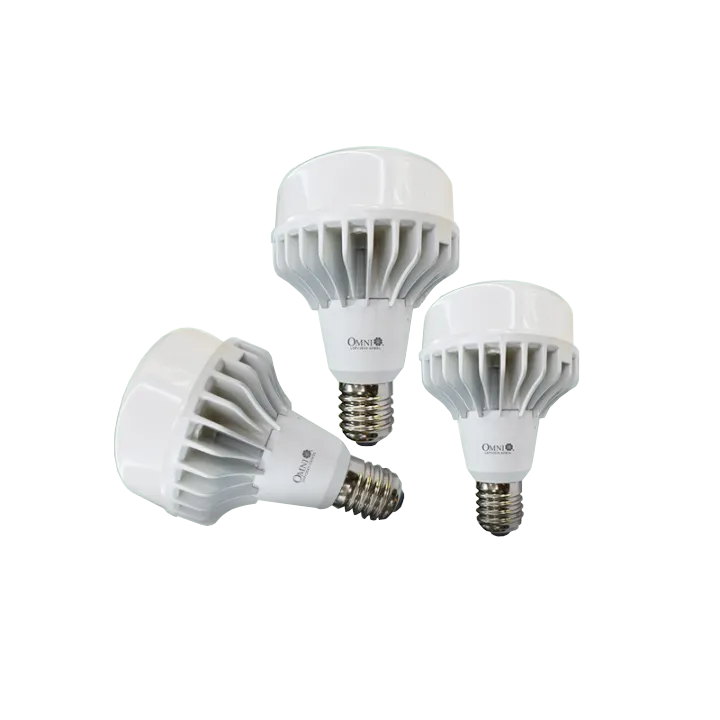 Omni LHPV2E40-80W DL Led Lamp