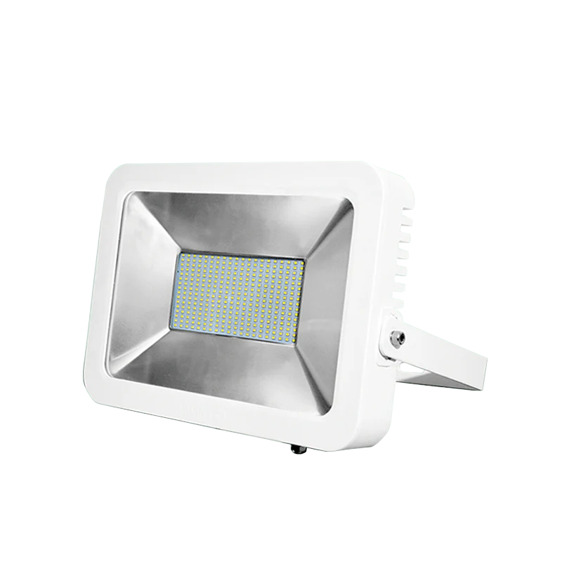 Omni LLFL-100WDL Flood Lamp