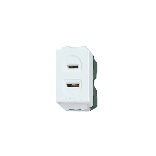 Panasonic WEG1001H-5 Gray Flat Pin Outlet