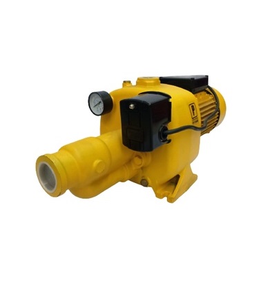 PowerHouse Deep & Shallow Well Pump 2HP Convertible
